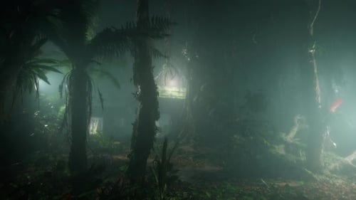 Rain Fall The Village Abandoned The Forest In Night