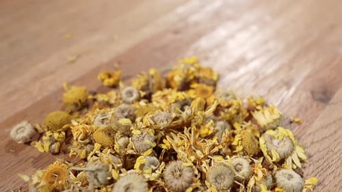 Dried Chamomile Flowers Close Up Herbal Tea Ingredients on Wooden Table