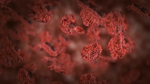 Microscopic Red Cells Flowing Medical Animation