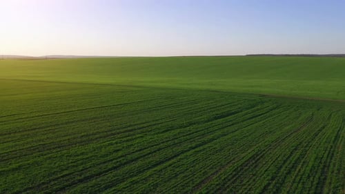 Luftaufnahme des schönen landwirtschaftlichen Feldes bei Tag. Ländliche Landschaft