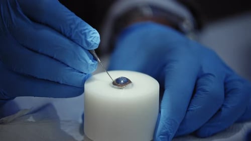 Eye Surgery Training on a Pig Eye