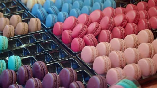 Macaroon in a Paper Box on Light Green Background
