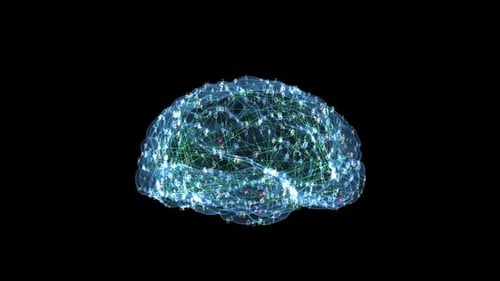 Base de données holographiques numériques sur le cerveau