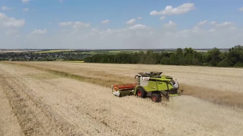 Canola Harvest 2022 in Ukraine during the War with Russia 1080p