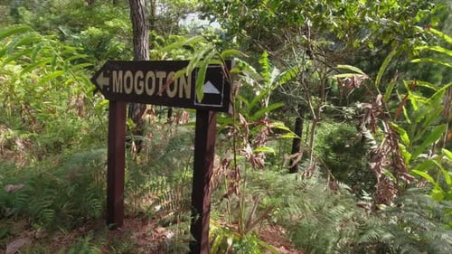 Sign post on jungle trail to summit of Mogoton mountain in Nicaragua