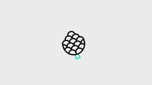 Minimalist Line Art Pinecone Reveal Drawing Animation