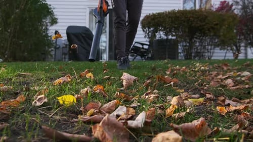 Man Blowing Leaves in Yard in Autumn Season