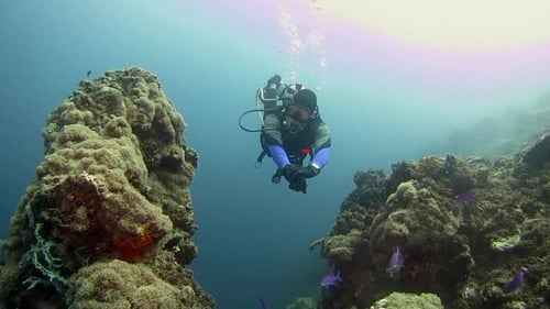 Scuba diver swimming through coral pillars.