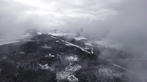 Misty Winter Landscape with Snowy Forest and Roads