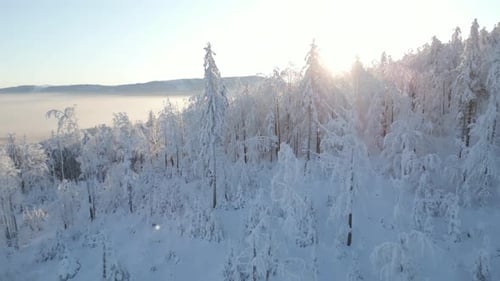 Aerial View of Sunrise Over Snowcovered Mountain Forest