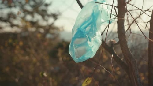 A la luz del sol, una bolsa de plástico que cuelga de verde en un bosque, contaminación, problema del ecosistema, barre