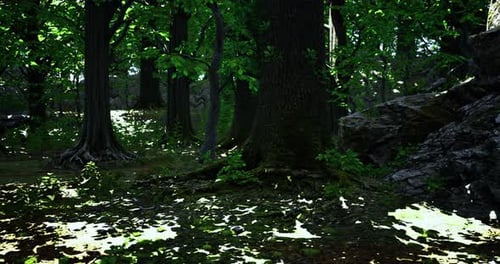 Lush Forest Landscape with Dappled Sunlight Filtering Through the Trees