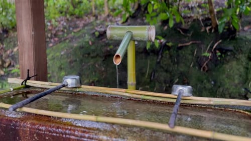 Tsukubai - Water Supply Through Bamboo Pipe With Ladles At Entrance Of Konchi-in Temple In Kyoto, Ja