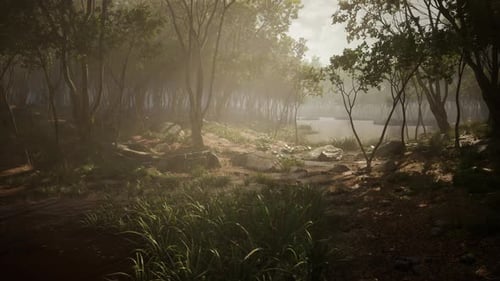 Pond in a Forest with Fog