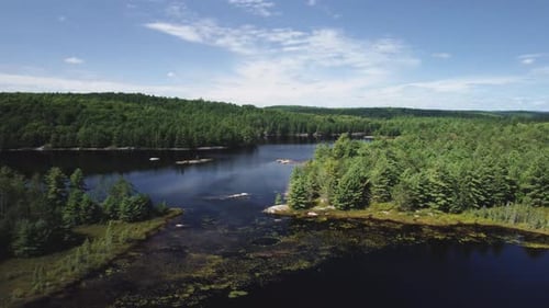 Crane drone view of a remote lake surrounded by woods and trees hb01