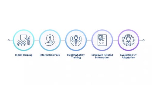Study information of company infographic circles animation