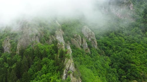 Clouds Over Beautiful Summer Mountains Green Forest Magical Natural Morning Fog Nature Landscape