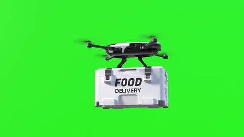 Drone Food Delivery on Green Screen