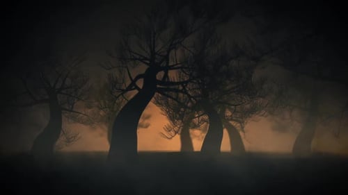 Mystery Forest Background