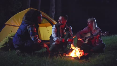 Cheerful diverse friends relaxing together around a bonfire in the woods at night, with one woman pl