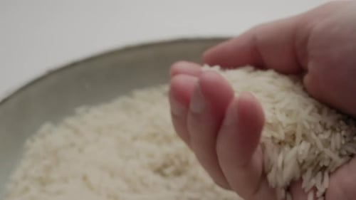 Hand Holding and Releasing Rice Grains