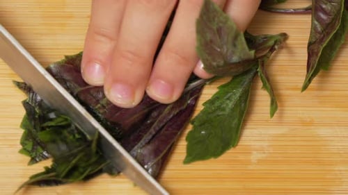 Chopping Fresh Green and Purple Basil on Board