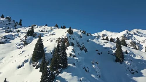 Rugged terrain, Tuyuk Su Glacier landmark, frosty woodland, aerial view