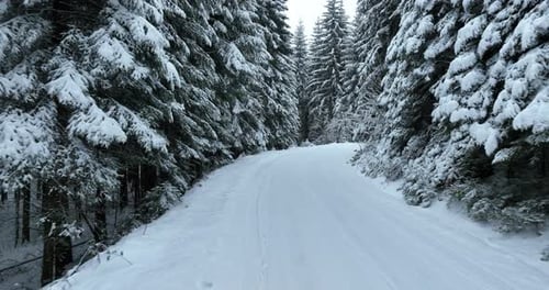 Aerial Drone View of the Road in Idyllic Winter Landscape Nature in a Dense Forest with Fresh Snow