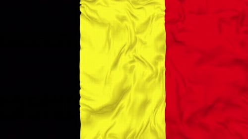 Seamless Loop of Waving Belgium National Flag