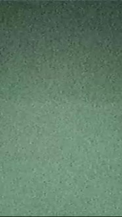 Vertical Video Retro Film Glitch Noise Real Grain