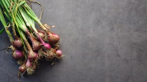 Early Onions and Green Leaves