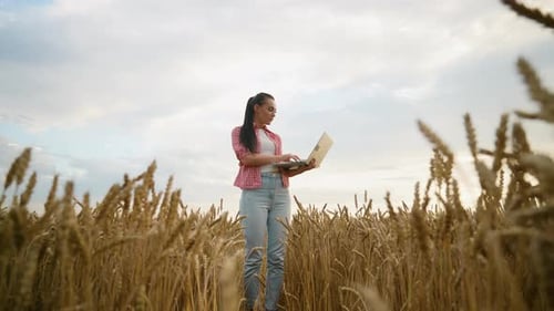Woman Farmer Using Laptop in Ripe Wheat Field