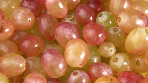 Fresh bunches of grapes of different varieties rotate as a background. Grape close up, concept