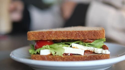 Close Up of Hands Holding Delicious Sandwich