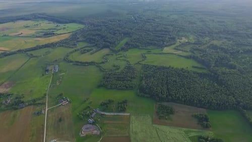 Aerial View of Rolling Green Fields and Forest