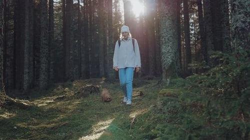 Woman Walks Dog in Forest Sunlight