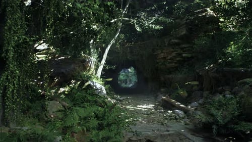 Tunnel Cutting Through Lush Green Jungle