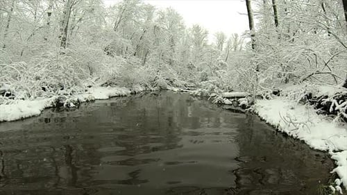 Creek flows through snow-covered wooded landscape as snow falls.