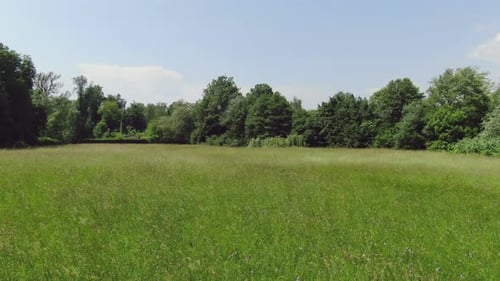 Dollying aerial drone footage panning across a beautiful green field with long grass and trees