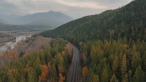 Mountainside Road Passing By Autumn Conifer Trees During Misty Morning. Aerial Drone Shot