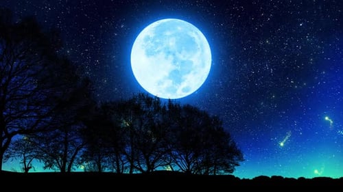 Moon Through Beautiful Trees