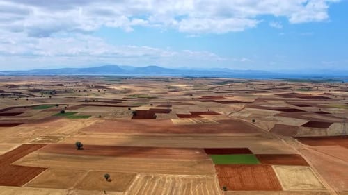Harvested Farmland