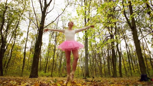 Ballerina in the Autumn Forest Harmony of Dance Among Golden Leaves