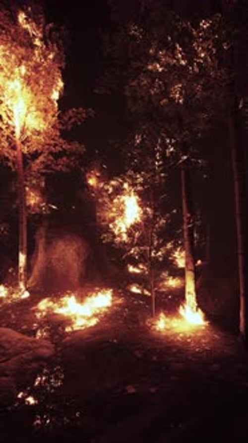 Intense Wildfire Illuminates the Forest Landscape at Night with Vibrant Flames