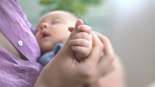 Newborn Baby Sleeps Peacefully While Holding Mother's Hand