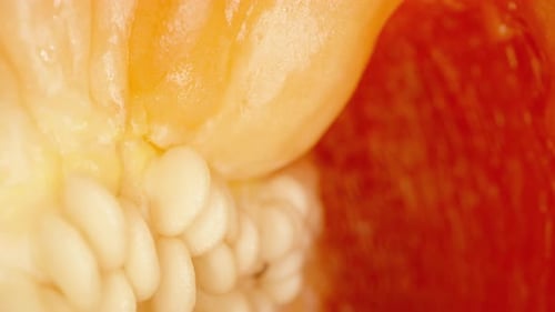 Extreme Close-Up of Cut Red Bell Pepper