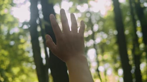 Hand of Young Woman at Sunset Closeup Sun Between the Hands of Woman Tourist Silhouette of Happy