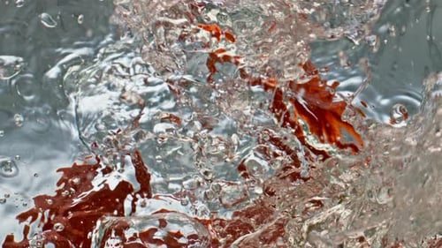 Red Peppers Splashing Around in Clear Water