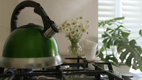 Green Kettle Steaming on Stovetop in Sunny Kitchen