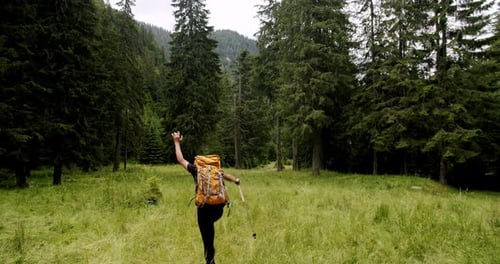 Back View on Excited Man with Backpack Hiking and Jumping on Meadow in Forest